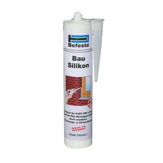 Befesta-Silikon transparent 310 ml  E800220